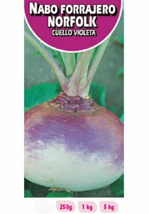 NABO REDONDO NORFOLK C/VIOLETA 1 KG