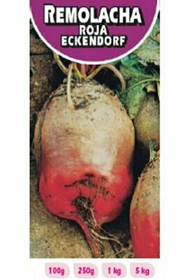 REMOLACHA ROJA ECKENDORF 1 KG