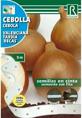 HORTALIZAS CINTA CEBOLLA(Allium cepa)
VALENCIANA TARDÍA RECAS
