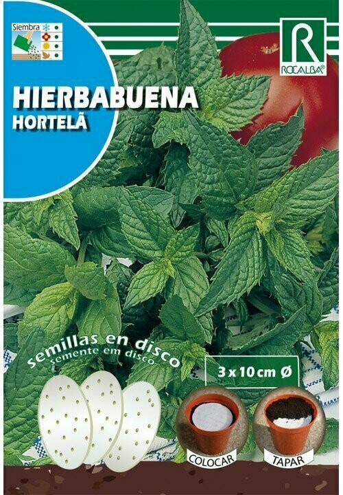 HORTALIZAS DISCO HIERBABUENA(Mentha spicata)