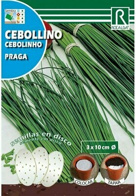 HORTALIZAS 
DISCO CEBOLLINO(Allium schoenoprasum)
PRAGA