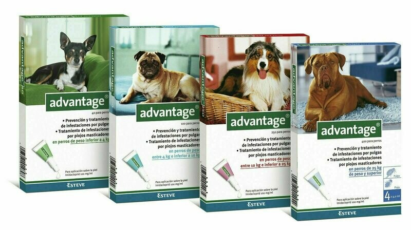 ADVANTAGE PARA PERROS