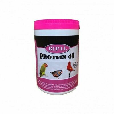 BIPAL PROTEIN 40