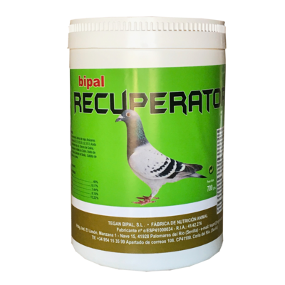 BIPAL RECUPERATOR