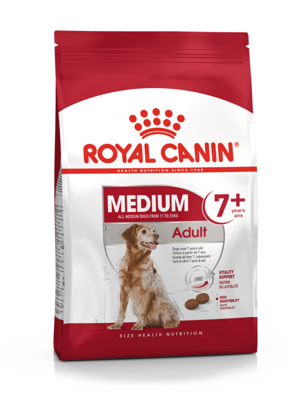 ROYAL CANIN MEDIUM ADULT 7+ PERRO