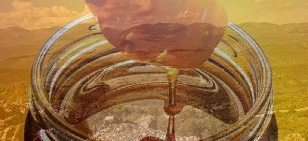 MIEL DE MONTAÑA  ( Extremadura )