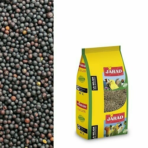 NABINA NEGRA JARAD