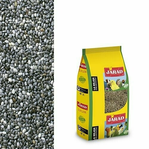 CHIA JARAD