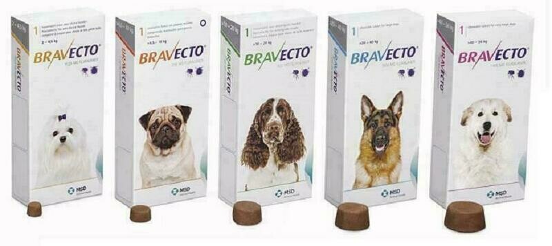 BRAVECTO PERROS GATOS PULGAS GARRAPATAS BRAVECTO PERROS GATOS PULGAS GARRAPATAS 112,5 MG 2-4,5 KG 1 COMPRIMIDO