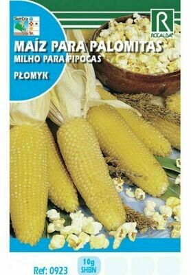 HORTALIZAS MAIZ PARA PALOMITAS PLOMYK