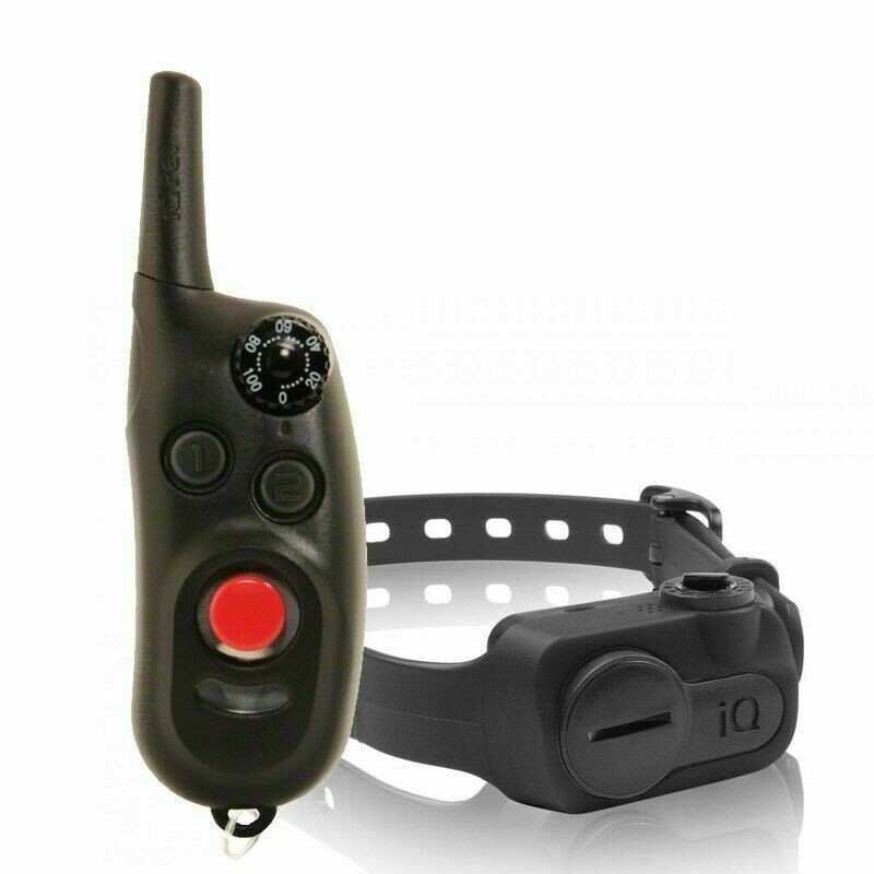 DOGTRA IQ CLICK adiestramiento