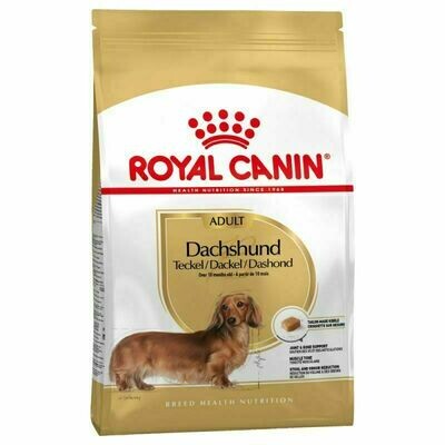 ROYAL CANIN DACHSHUND PERRO