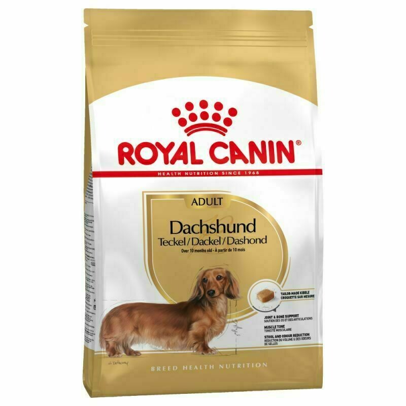 ROYAL CANIN DACHSHUND PERRO