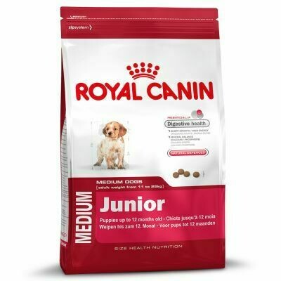 ROYAL CANIN MEDIUM JUNIOR PERRO