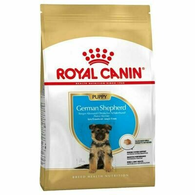 ROYAL CANIN GERMAN SHEPHERD JUNIOR 30 PERRO