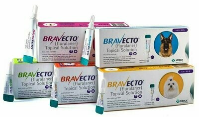 BRAVECTO PIPETA ANTIPARASITARIO DE GATOS PULGAS GARRAPATAS