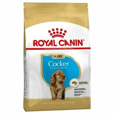 ROYAL CANIN COCKER JUNIOR PERRO