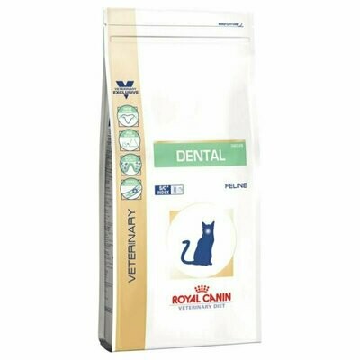 ROYAL CANIN DENTAL DSO GATO