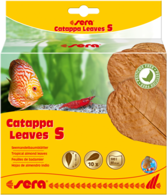 sera Catappa Leaves