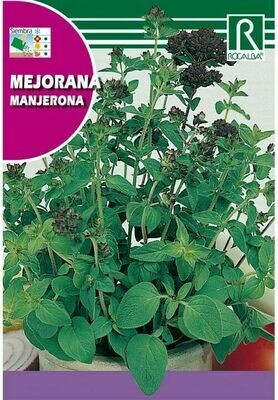 MEDICINALES, AROMATICAS Y CULINARIAS MEJORANA