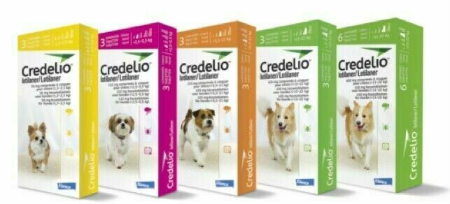 CREDELIO COMPRIMIDOS MASTICABLES PERROS GATOS ANTIPARASITARIO Amarillo: Adecuado para 1,3-2,5 kg (2,86-5,51 lbs)