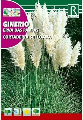 ARBOL GINERIO PLANTAS TROPICALES 