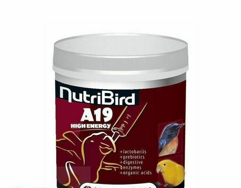 NUTRIBIRD A19 ALTA ENERGIA