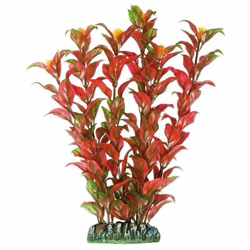 Alternanthera de AQUATIC PLANTS (PLÁSTICO)