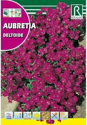 FLORES AUBRETIA DELTOIDE PÚRPURA VIOLETA