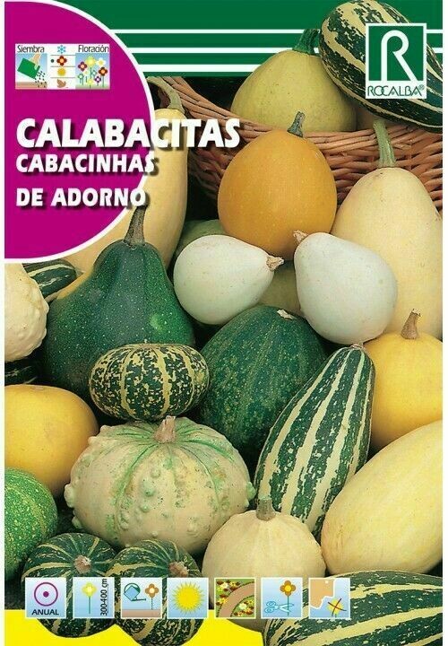 FLORES CALABACITAS