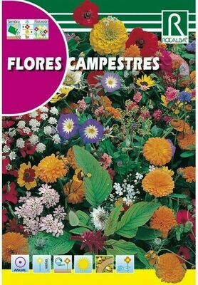 FLORES CAMPESTRES