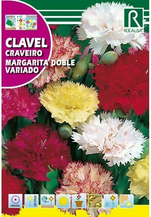 FLORES CLAVEL