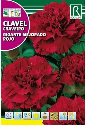 FLORES CLAVEL GIGANTE MEJORADO