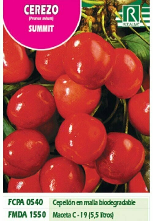 FRUTALES CEREZO SUMMIT -rojo intenso-