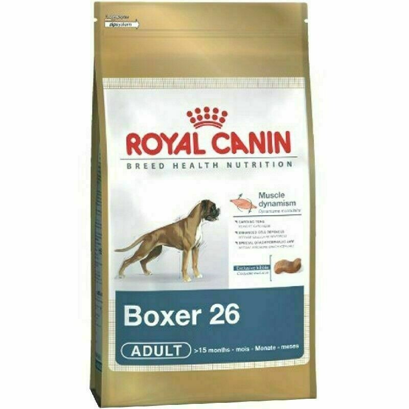 ROYAL CANIN BOXER 26 PERRO