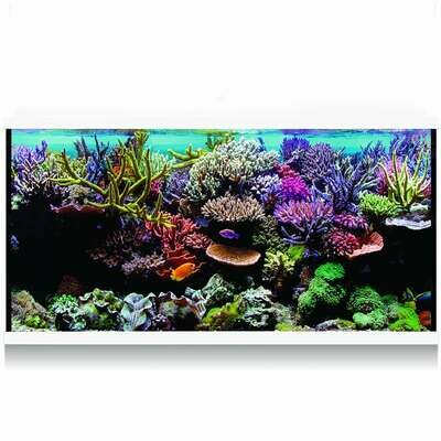 Kit Hydra 300 para agua salada