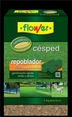 SEMILLAS CESPED REPOBLADOR 1 KG