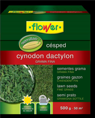 SEMILLAS CESPED CYNODON DACTYLON 500GR
