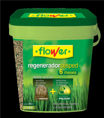 REGENERADOR CESPED FLASH 2,5 KG CUBO