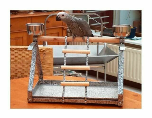 PIE PARA LOROS DE SOBREMESA