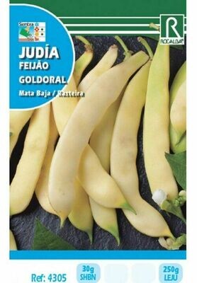 JUDIA GOLDORAL 30 GRS