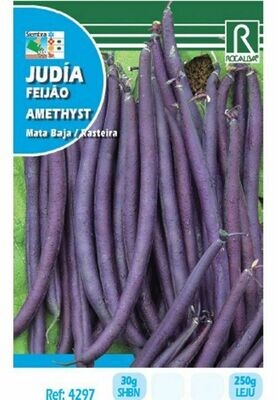 HORTALIZAS JUDIA AMETHYST 250 GRS