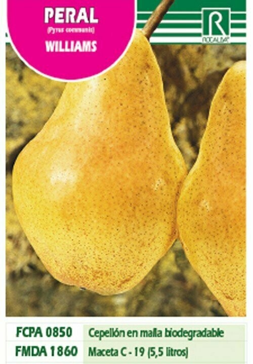 FRUTALES PERAL WILLIAMS -AMARILLO ROJIZO-