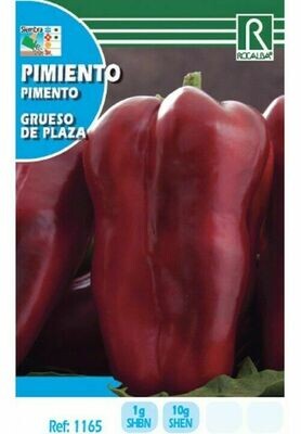 HORTALIZAS PIMIENTO GRUESO DE PLAZA