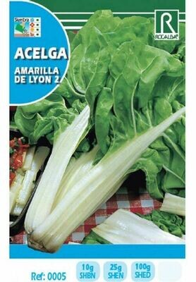 HORTALIZAS ACELGA AMARILLA DE LYON 2
