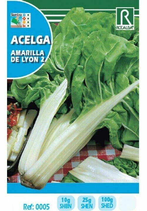 HORTALIZAS ACELGA AMARILLA DE LYON 2