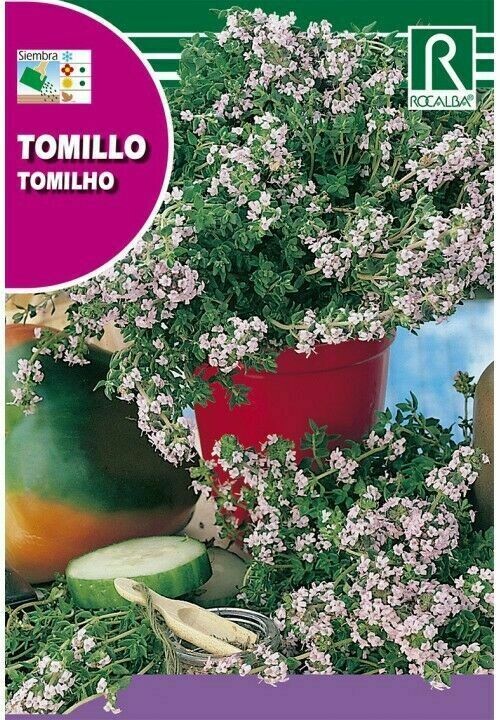 MEDICINALES, AROMATICAS Y CULINARIAS TOMILLO