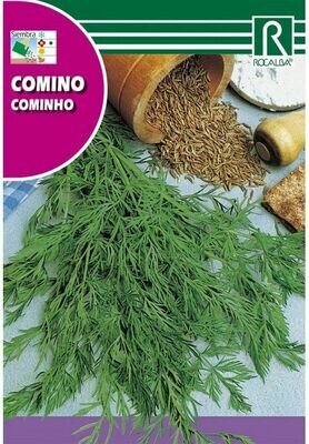 MEDICINALES, AROMATICAS Y CULINARIAS COMINO