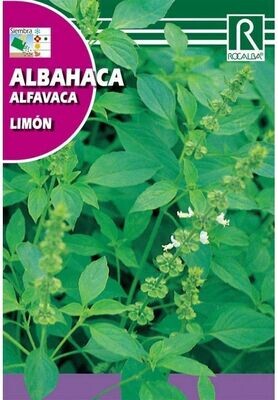 AROMATICAS Y MEDICINALES ALBAHACA LIMÓN