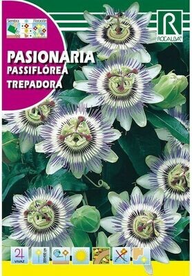 FLORES PASIONARIA